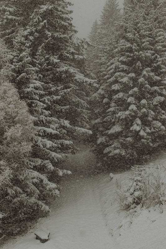 Dolomiti 03